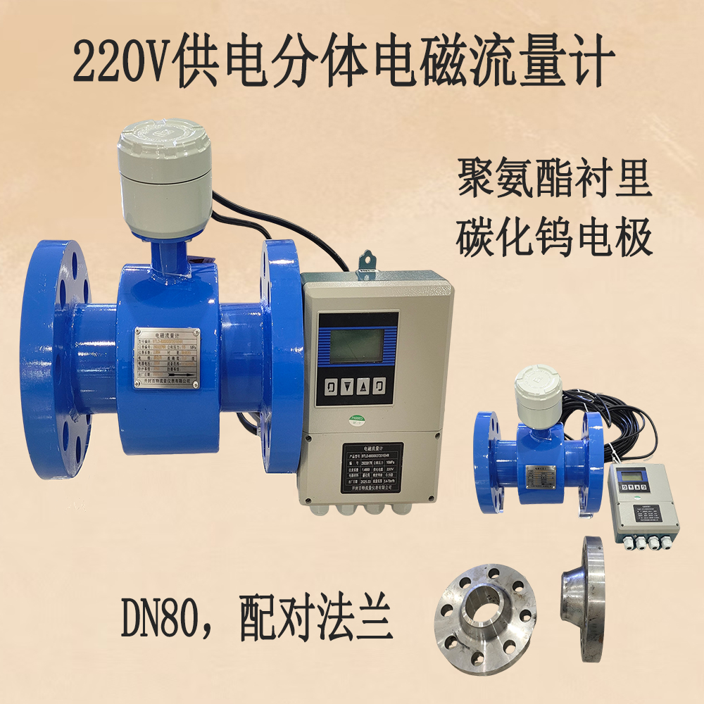 開封百特220V供電分體流量計，DN80，聚氨酯襯里，碳化鎢電極(含配對法蘭)   .jpg