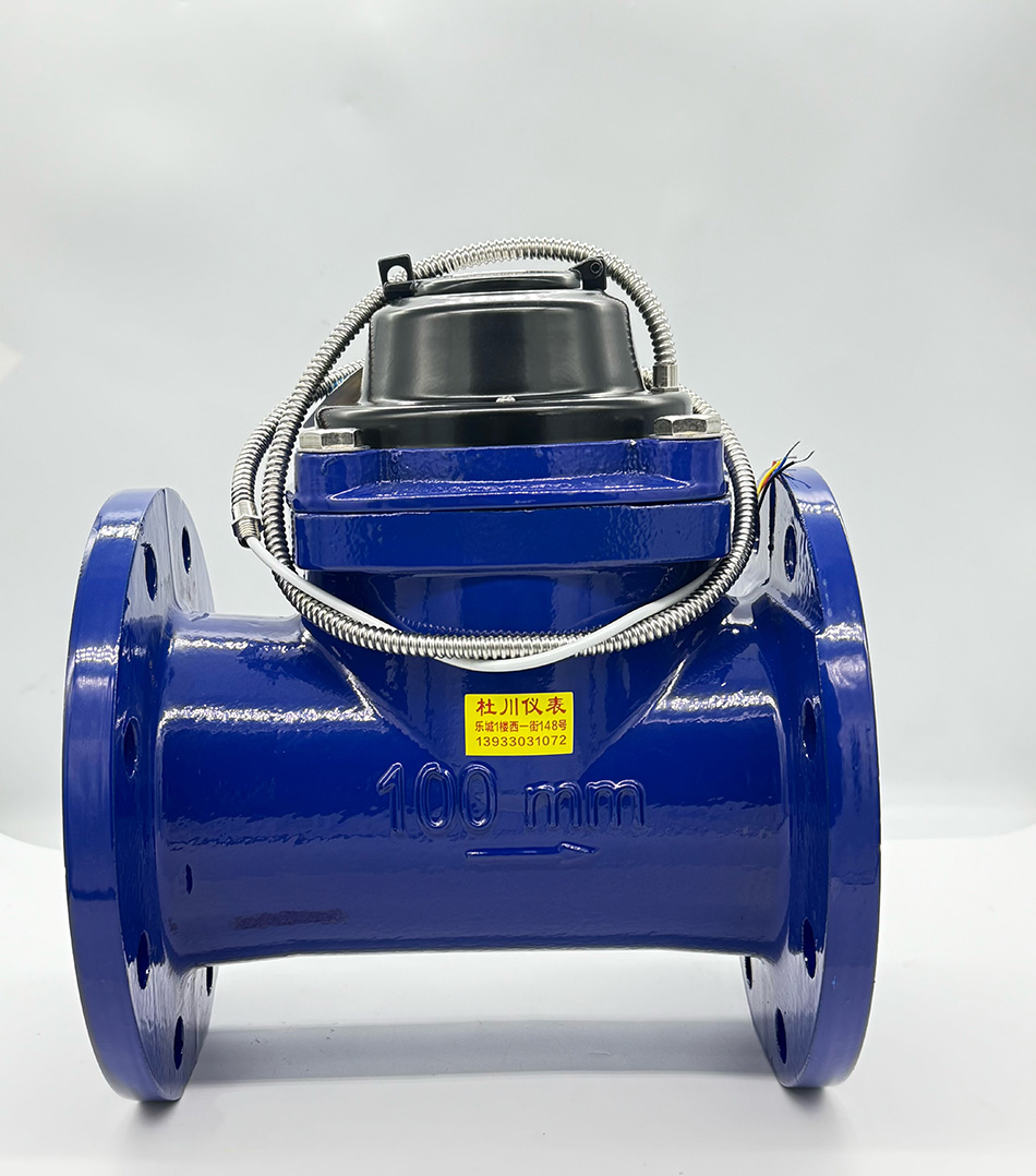 沁泉光電直讀表 DN100.jpg